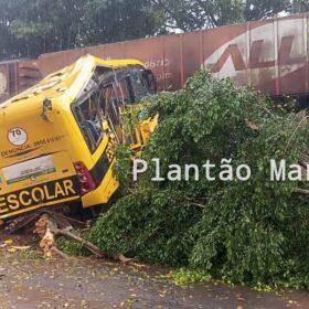 Fotos de Duas pessoas morreram e seis foram intubadas após colisão entre trem e ônibus em Jandaia do Sul