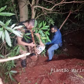 Fotos de Polícia Civil divulga foto de suspeito que tentou matar e enterrar homem em Sarandi