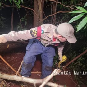 Fotos de Polícia Civil divulga foto de suspeito que tentou matar e enterrar homem em Sarandi