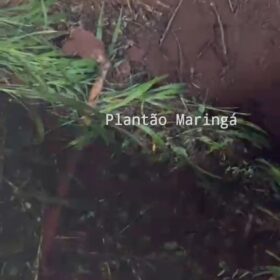 Fotos de Polícia Civil divulga foto de suspeito que tentou matar e enterrar homem em Sarandi