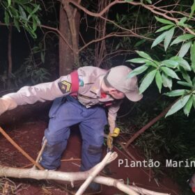 Fotos de Polícia Civil divulga foto de suspeito que tentou matar e enterrar homem em Sarandi