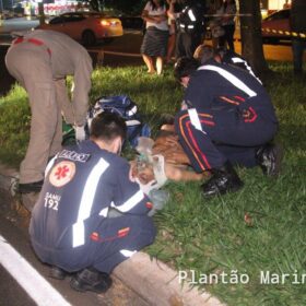 Fotos de Idoso de 71 anos é socorrido com ferimentos graves após ser atropelado em Maringá 