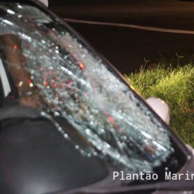Fotos de Idoso de 71 anos é socorrido com ferimentos graves após ser atropelado em Maringá 