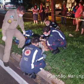 Fotos de Morre no hospital idoso atropelado por carro em Maringá 