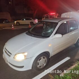 Fotos de Idoso de 71 anos é socorrido com ferimentos graves após ser atropelado em Maringá 