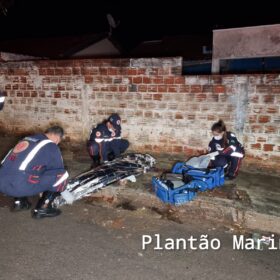Fotos de Jovem é morto a facadas após tentar separar briga em Marialva