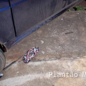 Fotos de Motorista embriagado, com a CNH vencida invade calçada, atropela e mata criança autista de 13 anos em Sarandi