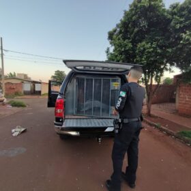 Operação da Polícia Civil prende estupradores em Sarandi Foto 1 Fotos de Operação da Polícia Civil prende estupradores em Sarandi