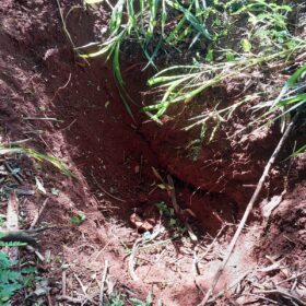 Fotos de Polícia Civil divulga foto de suspeito que tentou matar e enterrar homem em Sarandi