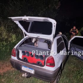 Fotos de Bandidos usam máscaras de La casa de papel para roubar veículo em Maringá
