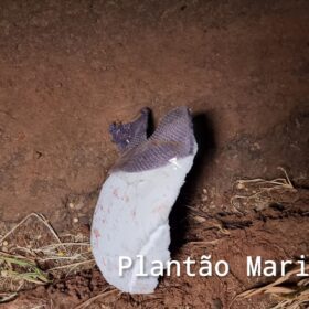 Fotos de Buraco na rodovia provoca morte de adolescente de 17 anos, em Maringá