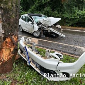 Fotos de Carro fica com a frente destruída após motorista bater em árvore em Maringá