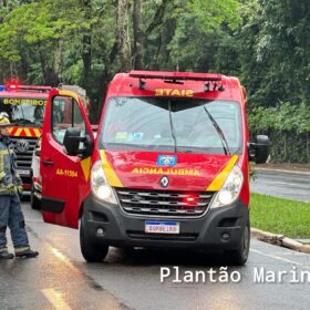 Fotos de Carro fica com a frente destruída após motorista bater em árvore em Maringá