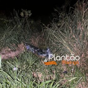 Fotos de Homem morre ao ser ejetado de carro após capotamento 