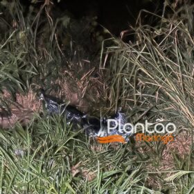 Fotos de Homem morre ao ser ejetado de carro após capotamento 