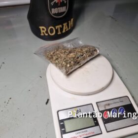Fotos de Rotam prende trio com carro roubado, droga, e simulacro de pistola em Maringá 