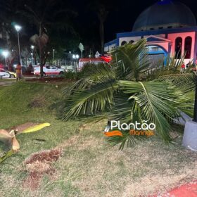 Fotos de Carro 'voa', após motorista discutir com a mãe e joga veículo contra praça em Maringá