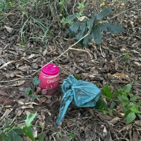 Feto é encontrado em pote de creme para cabelos em Mandaguaçu Foto 1 Fotos de Feto é encontrado em pote de creme para cabelos em Mandaguaçu