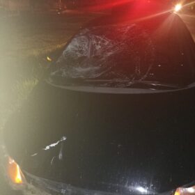 Idoso de 68 anos morre atropelado na rodovia PR-317 Foto 1 Fotos de Idoso de 68 anos morre atropelado na rodovia PR-317