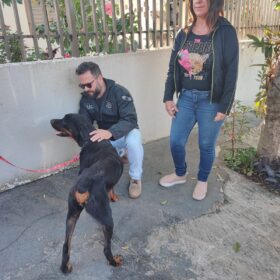 Fotos de Polícia Civil de Sarandi resgata cão em situação de maus-tratos