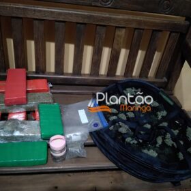 Fotos de Traficante que produzia a própria droga é preso pela Rocam de Maringá