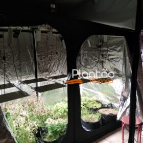 Fotos de Traficante que produzia a própria droga é preso pela Rocam de Maringá