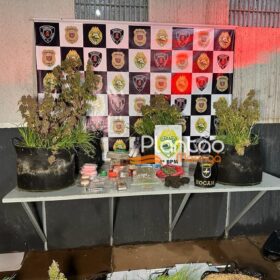 Fotos de Traficante que produzia a própria droga é preso pela Rocam de Maringá