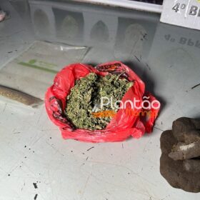 Traficante que produzia a própria droga é preso pela Rocam de Maringá Foto 1 Fotos de Traficante que produzia a própria droga é preso pela Rocam de Maringá