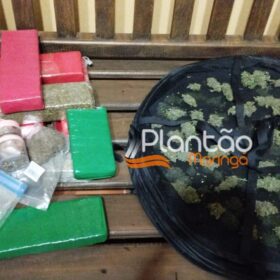 Fotos de Traficante que produzia a própria droga é preso pela Rocam de Maringá
