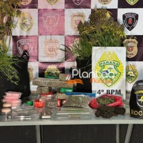 Fotos de Traficante que produzia a própria droga é preso pela Rocam de Maringá