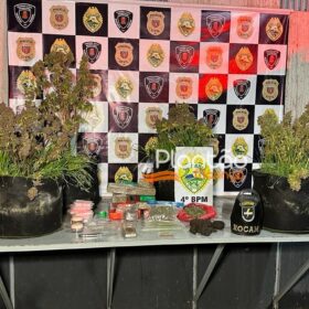 Fotos de Traficante que produzia a própria droga é preso pela Rocam de Maringá
