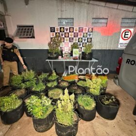 Fotos de Traficante que produzia a própria droga é preso pela Rocam de Maringá
