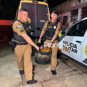 Fotos de Traficante que produzia a própria droga é preso pela Rocam de Maringá