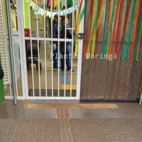 Fotos de Bebê de um ano é picada por escorpião amarelo dentro de CMEI em Maringá