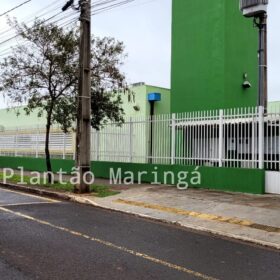 Bebê de um ano é picada por escorpião amarelo dentro de CMEI em Maringá Foto 1 Fotos de Bebê de um ano é picada por escorpião amarelo dentro de CMEI em Maringá