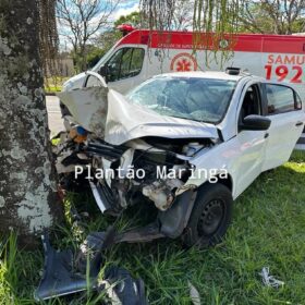 Fotos de Carro bate em árvore e deixa duas pessoas feridas em Maringá