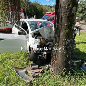 Fotos de Carro bate em árvore e deixa duas pessoas feridas em Maringá