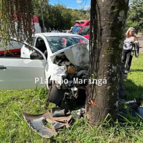 Fotos de Carro bate em árvore e deixa duas pessoas feridas em Maringá