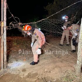 Fotos de Ex-morador de Sarandi é morto e jogado dentro de poço em Mandaguari 