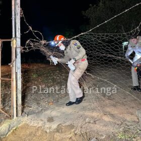 Fotos de Ex-morador de Sarandi é morto e jogado dentro de poço em Mandaguari 