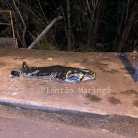 Fotos de Homem tenta salvar mulher e acaba morrendo após cair de dez metros de altura em Maringá 