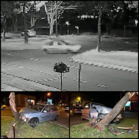 Fotos de Motorista perde controle do carro e derruba árvore em Maringá; veja vídeo