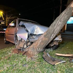 Fotos de Motorista perde controle do carro e derruba árvore em Maringá; veja vídeo