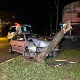 Fotos de Motorista perde controle do carro e derruba árvore em Maringá; veja vídeo