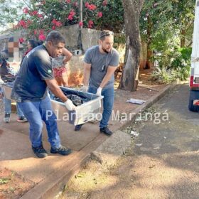Fotos de Suspeito de matar a tiros homem em Maringá se apresenta à polícia e entrega arma de fogo