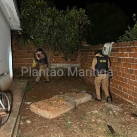 Fotos de Mulher é atingida por três golpes de faca pelo ex-marido em Sarandi