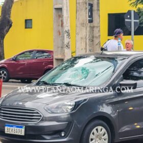 Fotos de Câmera flagra atropelamento que deixou idoso em estado gravíssimo em Maringá