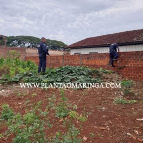 Fotos de Câmera registra suspeito de assalto caindo de telhado em Sarandi, durante a fuga