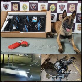 Choque Canil localiza drogas na casa de criminoso preso após confronto em Maringá Foto 1 Fotos de Choque Canil localiza drogas na casa de criminoso preso após confronto em Maringá