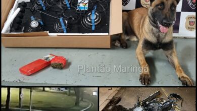 Fotos de Choque Canil localiza drogas na casa de criminoso preso após confronto em Maringá